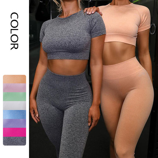Seamless Yoga Sport Set Fitness Women Running Leggings Short Sleeve TopsYoga